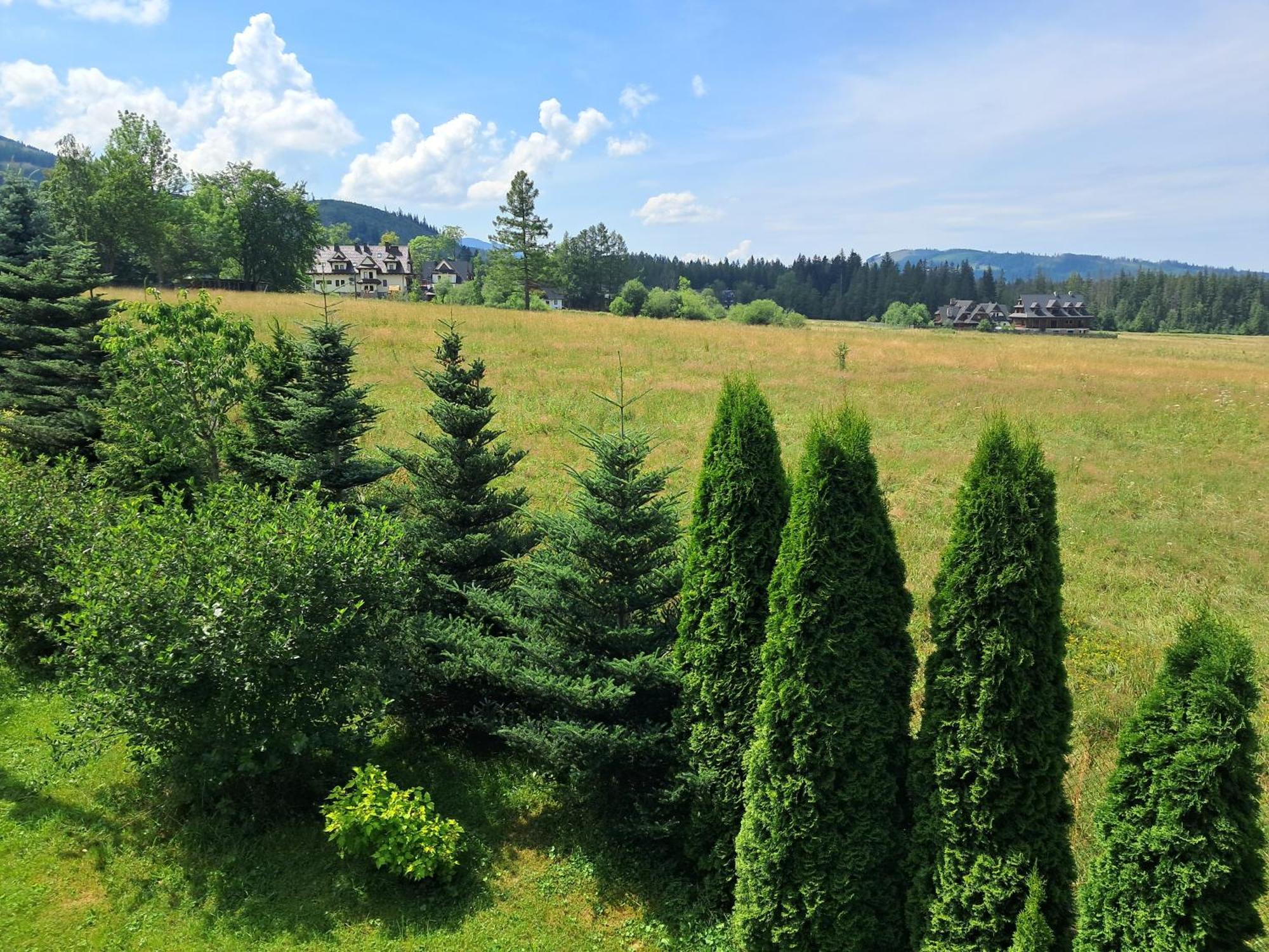 Appartamento Pokoje U Ewy Kościelisko Esterno foto